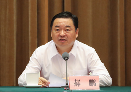 郝鵬、國資、央企、國資委、書記、主任、國企、企業改革